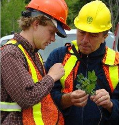 Provincial inspections and third-party certification audits play an important role in showing the world that Ontario is a leader in sustainable forest management.
