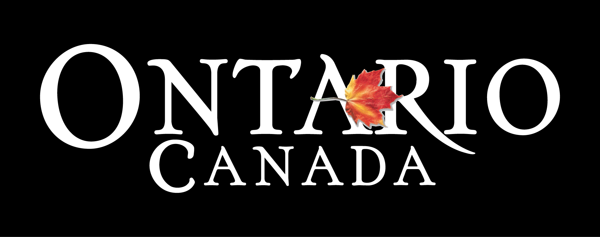 Ontario, Canada logo - four-colour reverse
